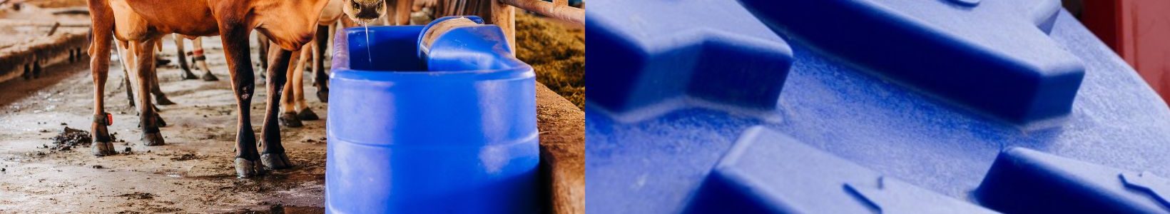 Image split: Left shows cows drinking from a blue feeder in a barn. Right displays close-up of a playground climbing wall with blue footholds.
